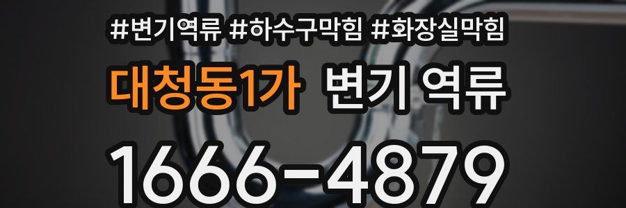 대청동1가 변기 역류