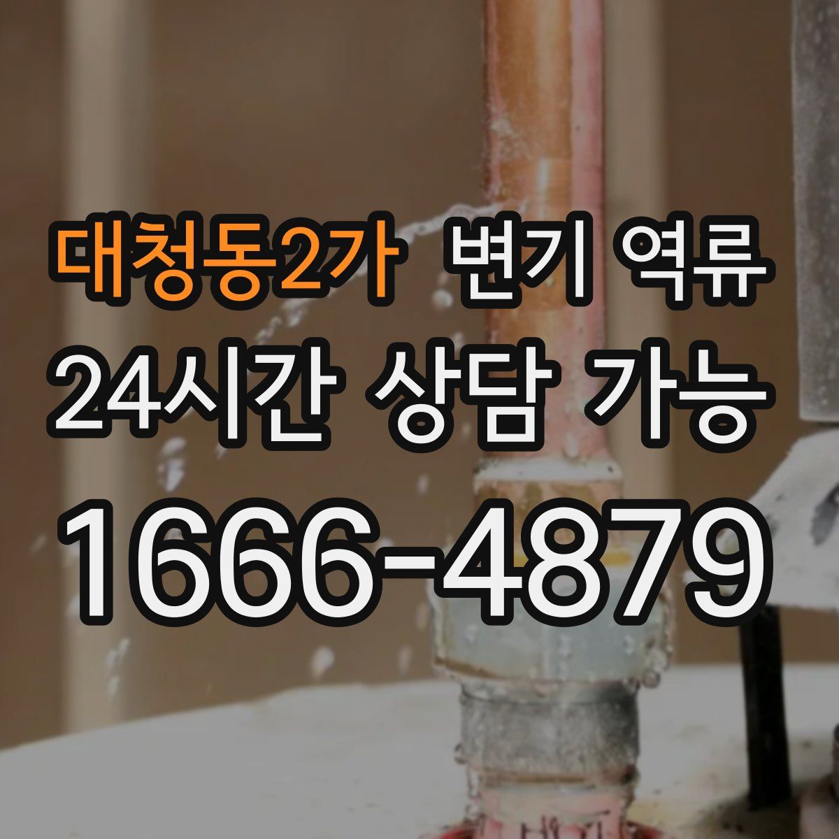 대청동2가 변기 역류