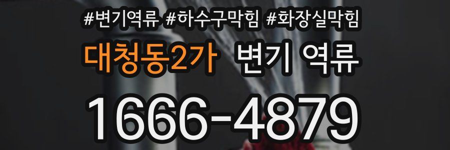 대청동2가 변기 역류