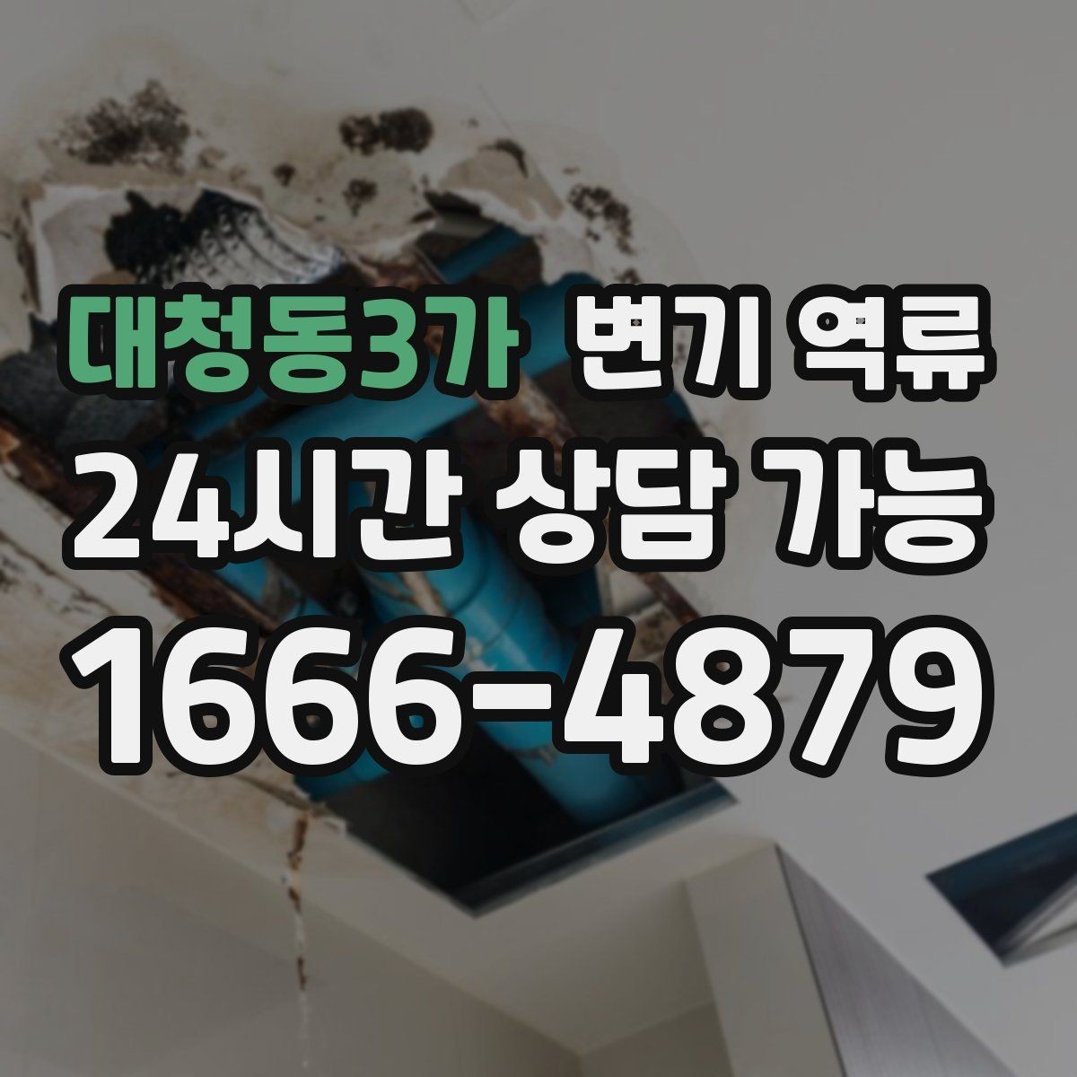 대청동3가 변기 역류 배수 트랩이 말랐을 때 나타나는 증상