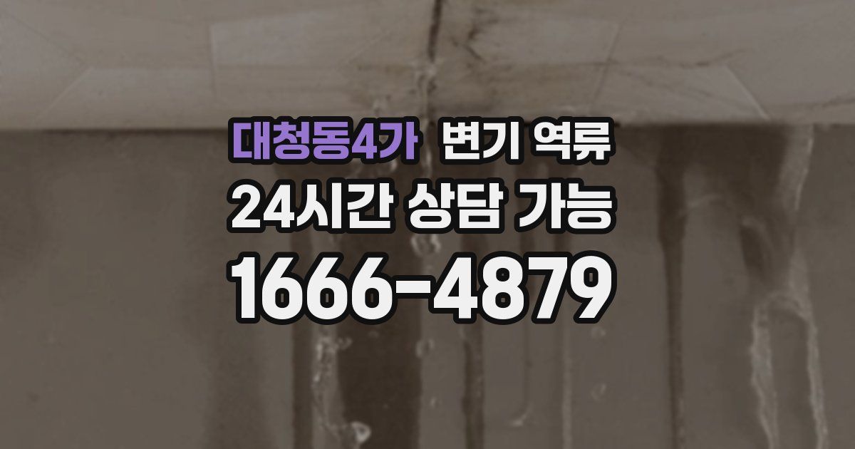 대청동4가 변기 역류