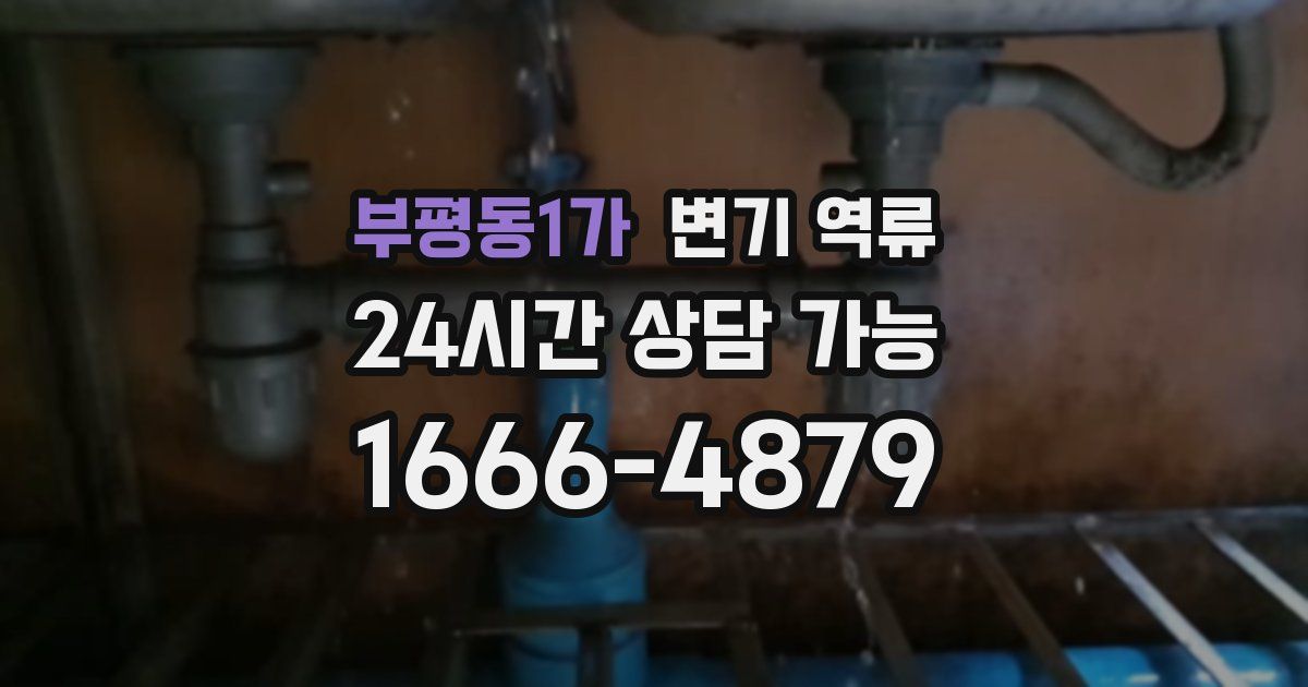 부평동1가 변기 역류