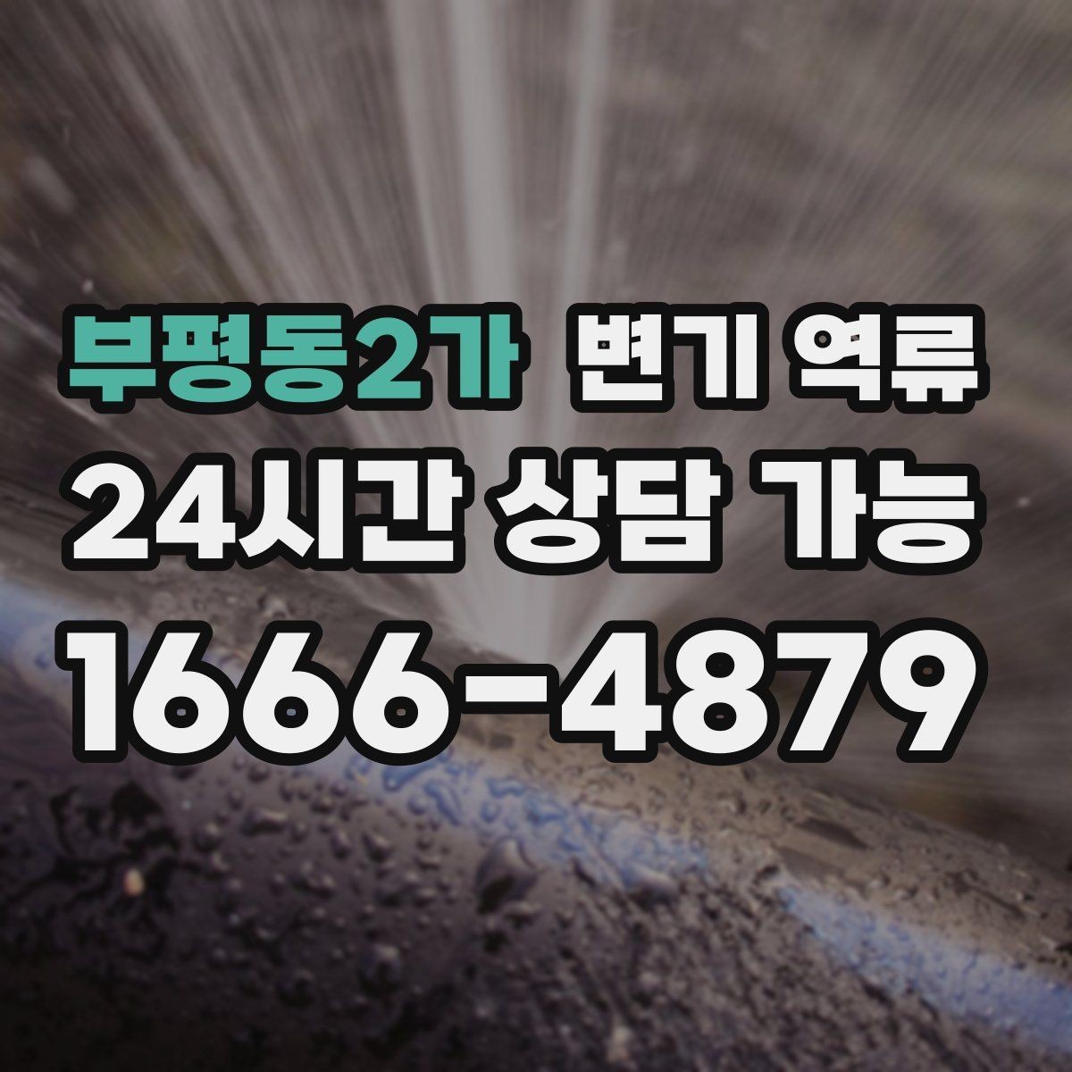 부평동2가 변기 역류 상담을 빨리 끝내는 증상 설명 요령
