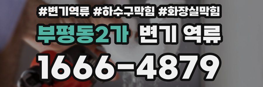 부평동2가 변기 역류