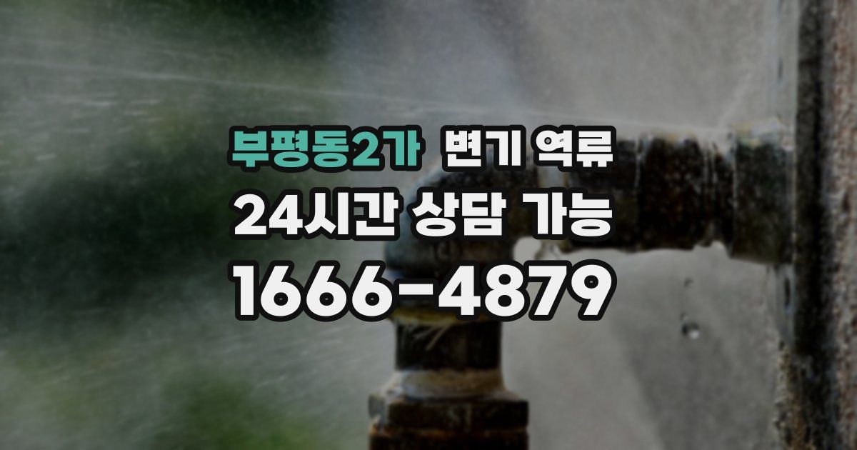 부평동2가 변기 역류