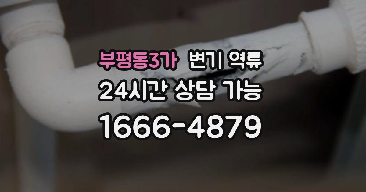 부평동3가 변기 역류