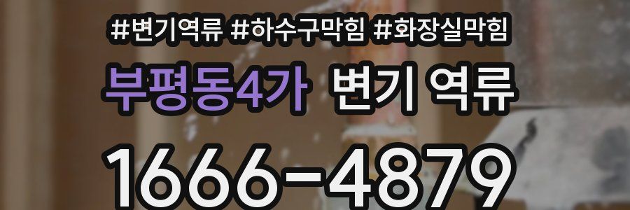 부평동4가 변기 역류