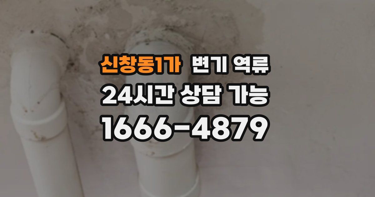 신창동1가 변기 역류
