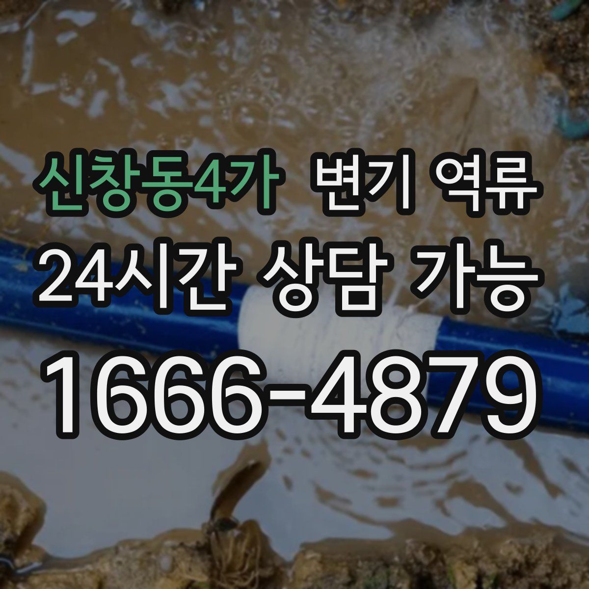 신창동4가 변기 역류