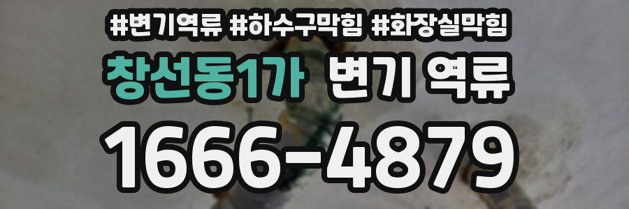 창선동1가 변기 역류