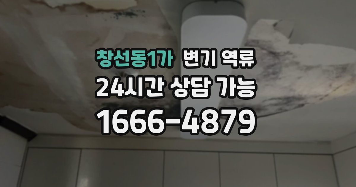 창선동1가 변기 역류