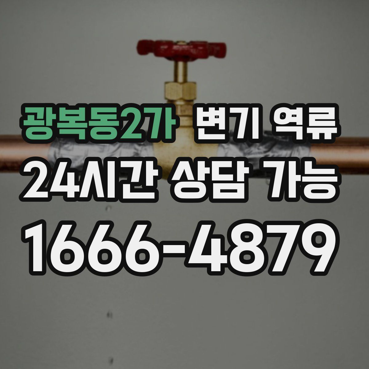 광복동2가 변기 역류