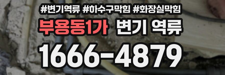 부용동1가 변기 역류