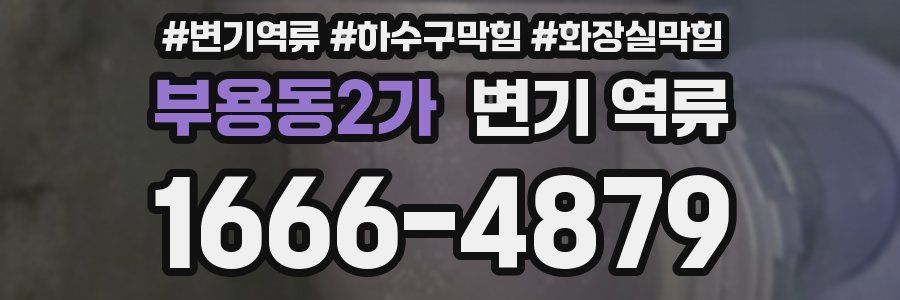 부용동2가 변기 역류