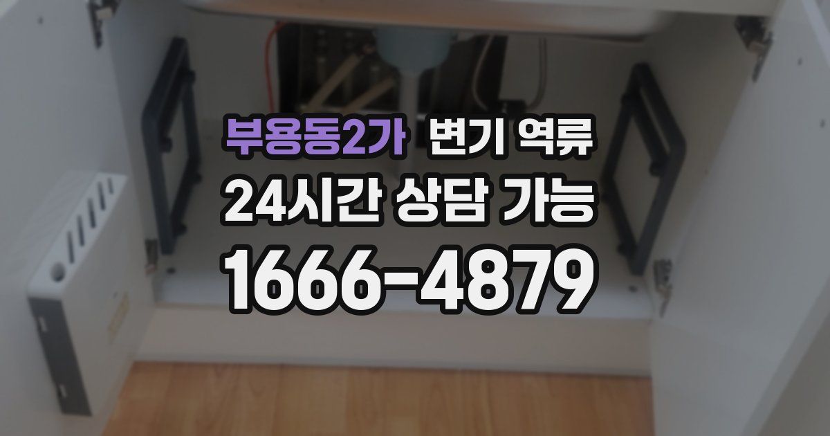 부용동2가 변기 역류