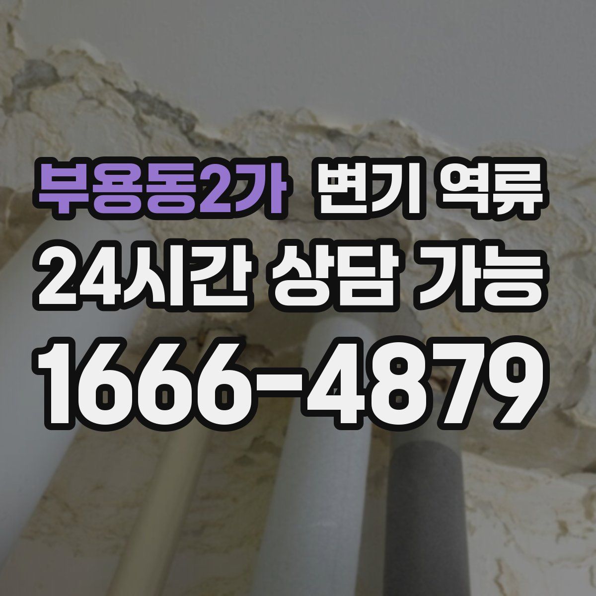 부용동2가 변기 역류