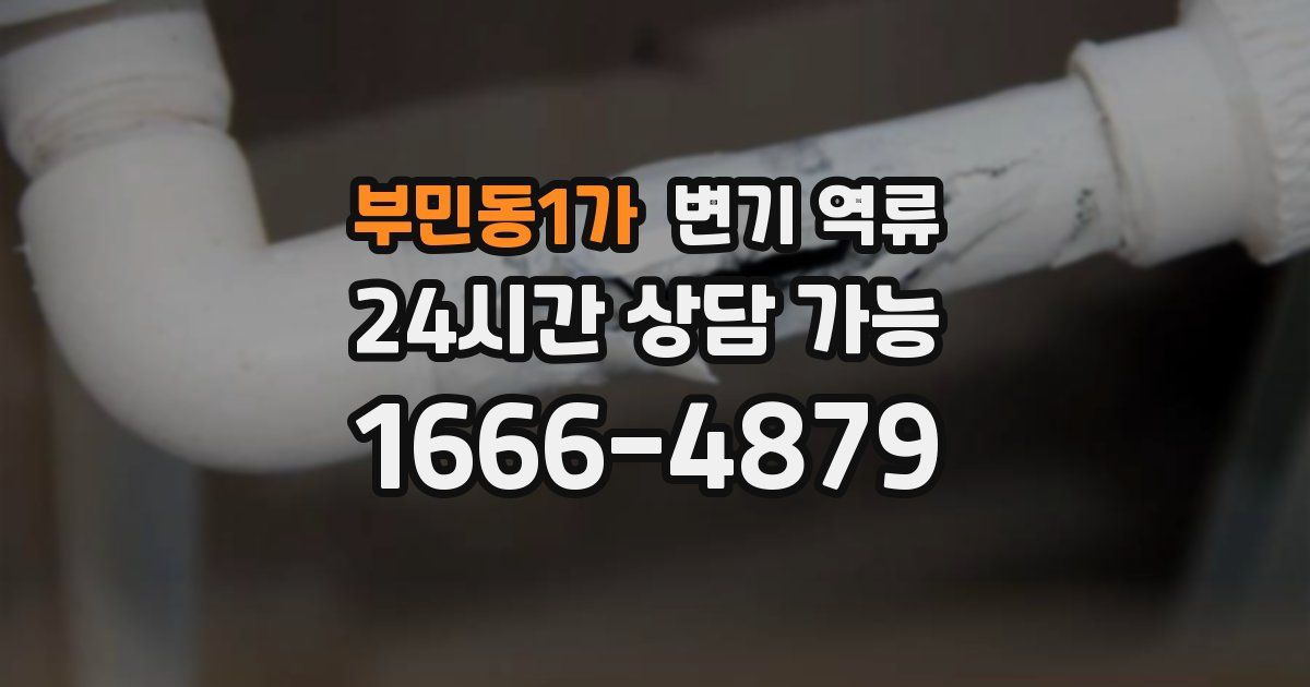 부민동1가 변기 역류