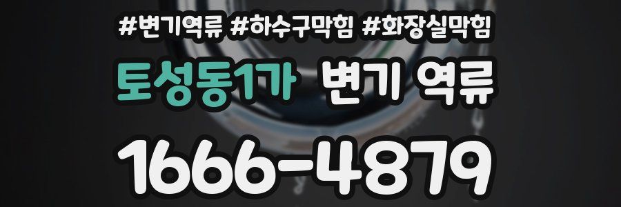 토성동1가 변기 역류