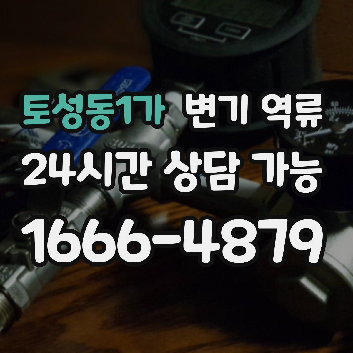 토성동1가 변기 역류