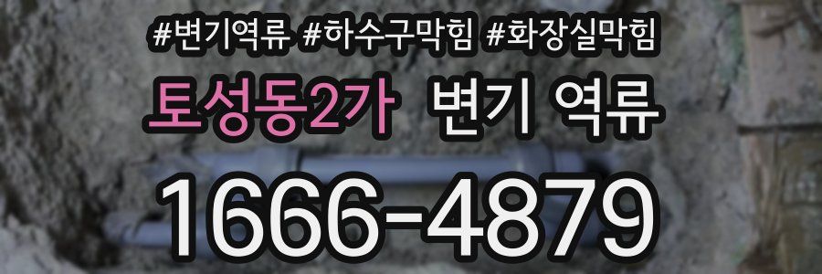 토성동2가 변기 역류