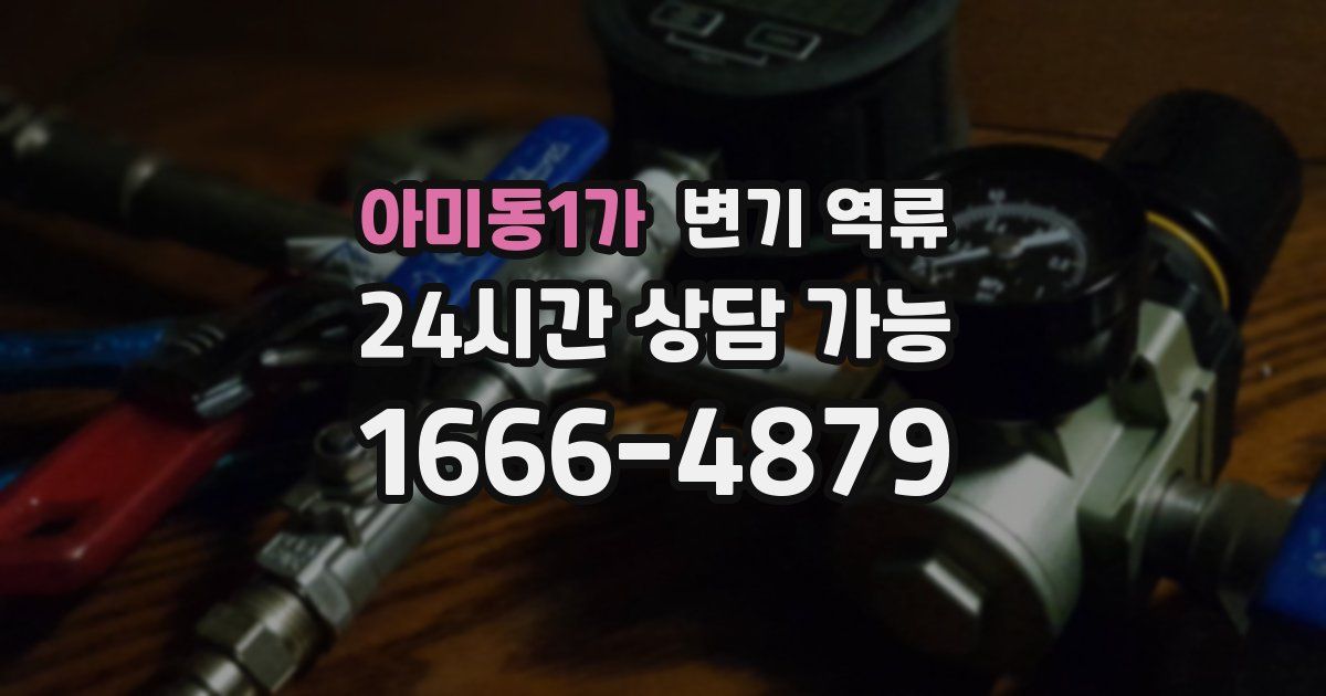 아미동1가 변기 역류