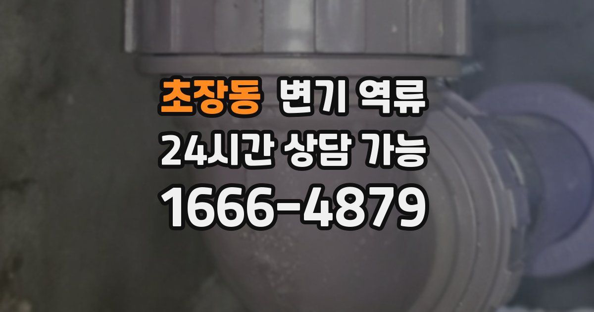 초장동 변기 역류