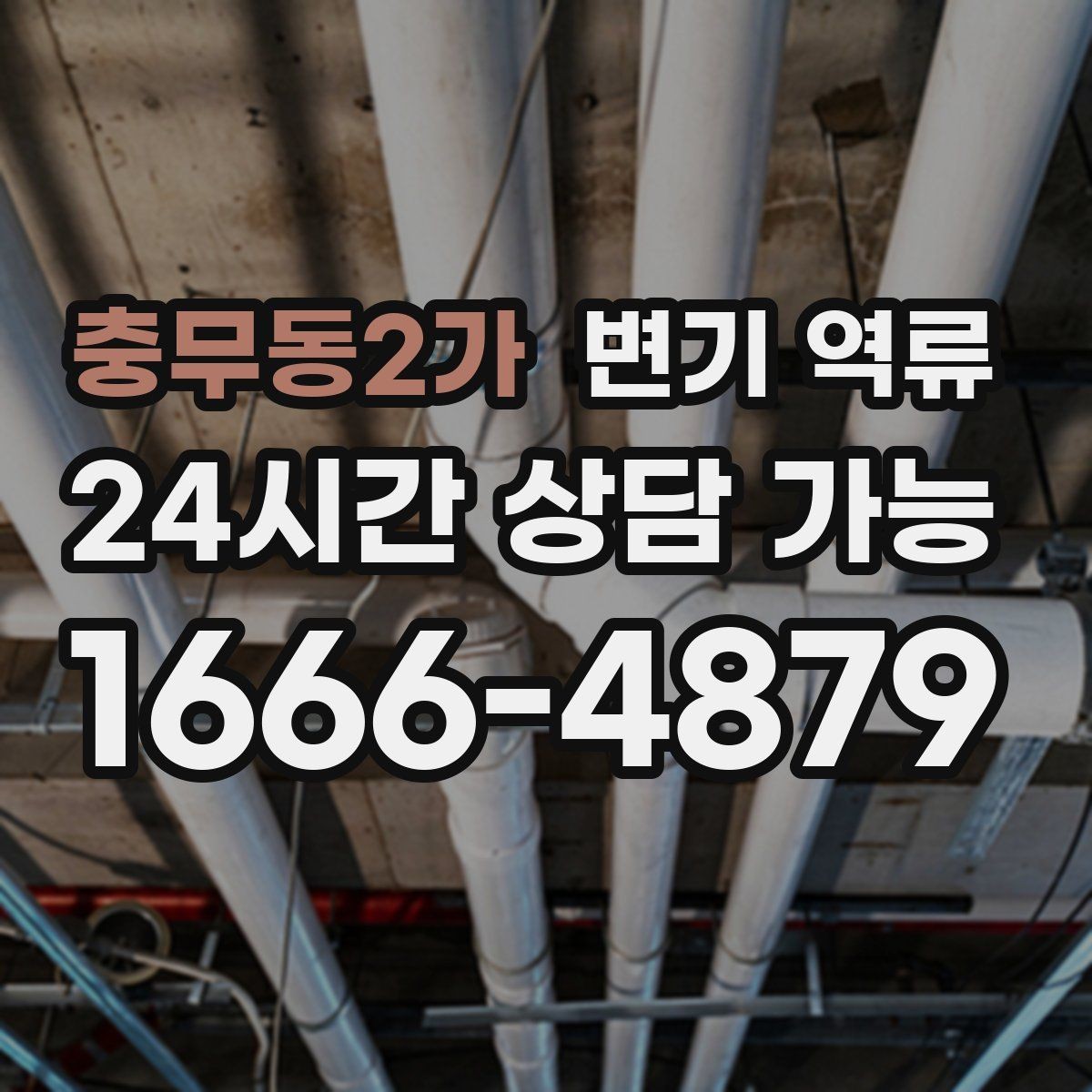 충무동2가 변기 역류 역류가 한 번에 확 올라오면 의심할 원인