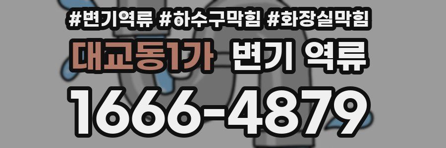 대교동1가 변기 역류