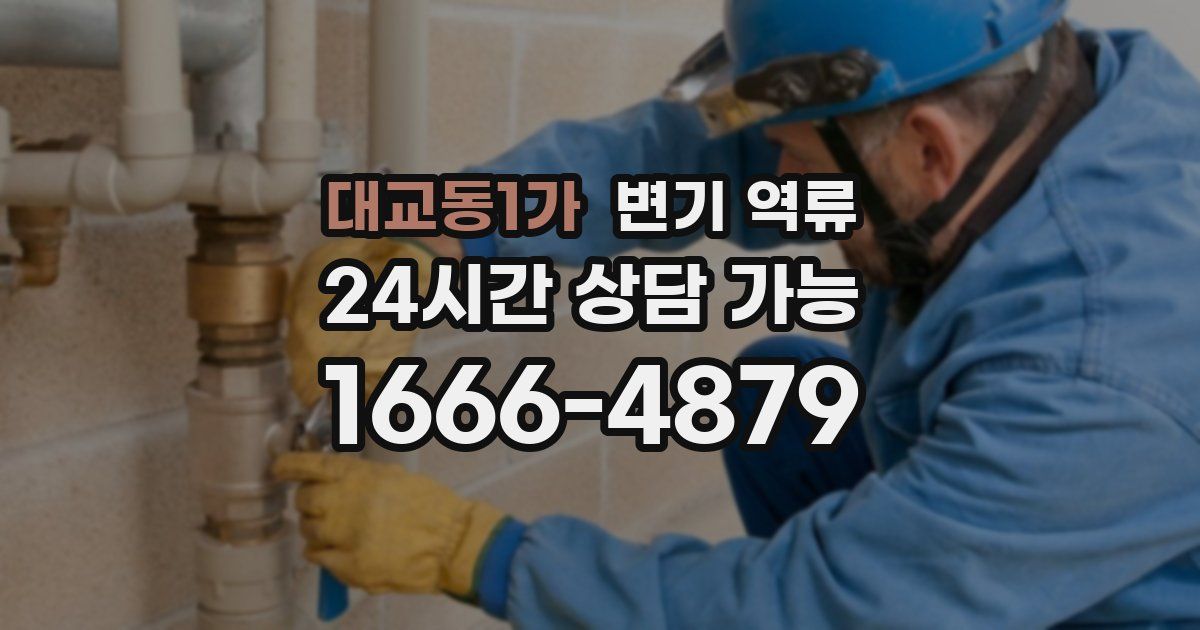 대교동1가 변기 역류