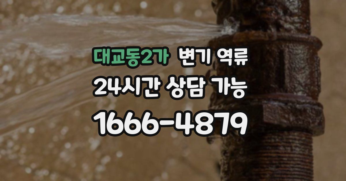 대교동2가 변기 역류