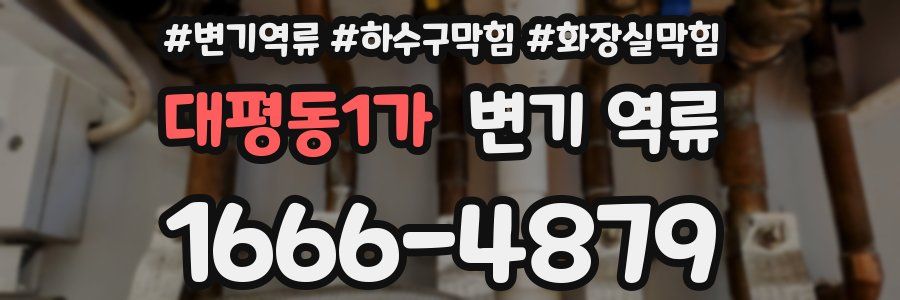 대평동1가 변기 역류