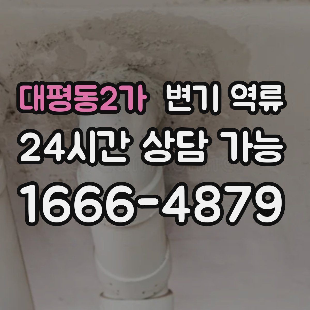 대평동2가 변기 역류 역류가 한 번에 확 올라오면 의심할 원인