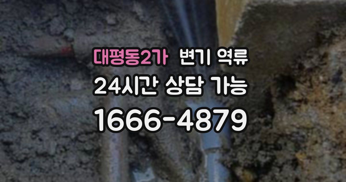 대평동2가 변기 역류