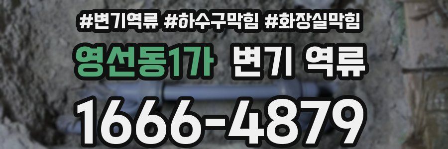 영선동1가 변기 역류