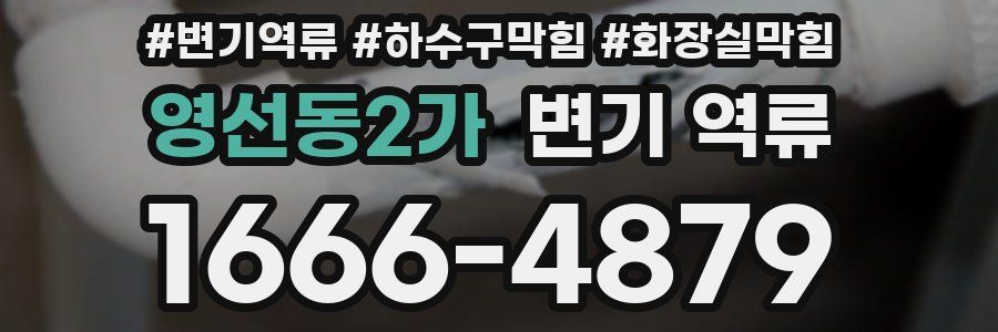 영선동2가 변기 역류