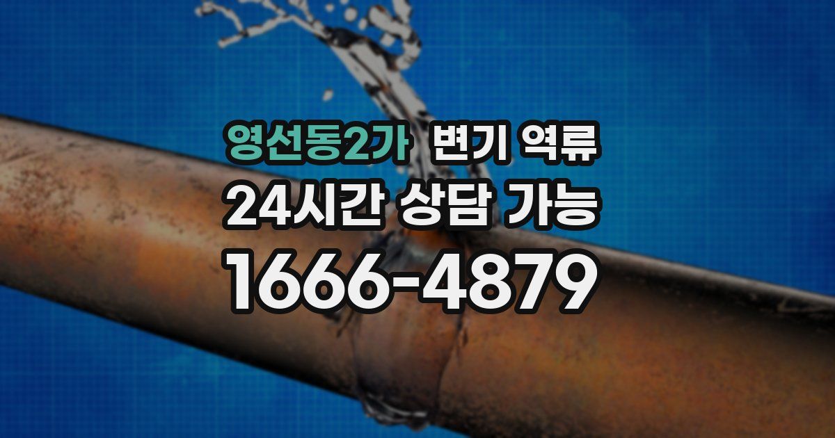 영선동2가 변기 역류