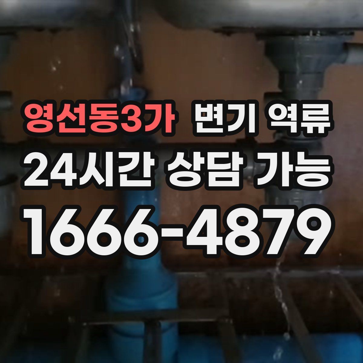 영선동3가 변기 역류 특정 변기만 반복되면 의심할 것