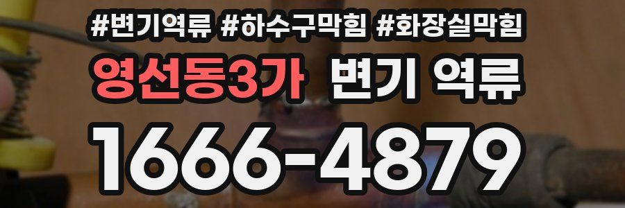 영선동3가 변기 역류