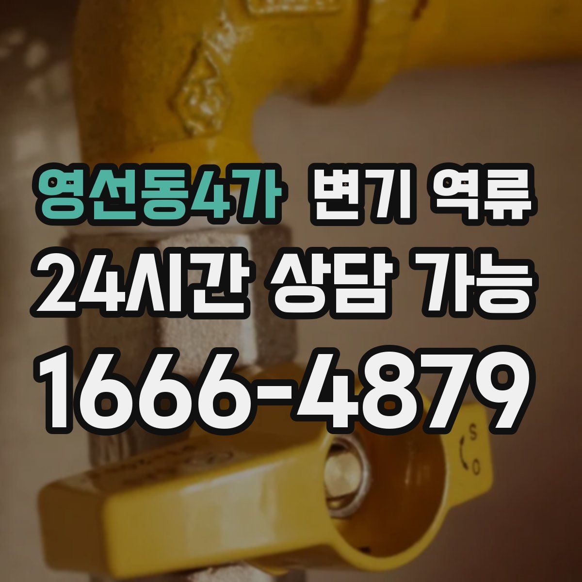 영선동4가 변기 역류