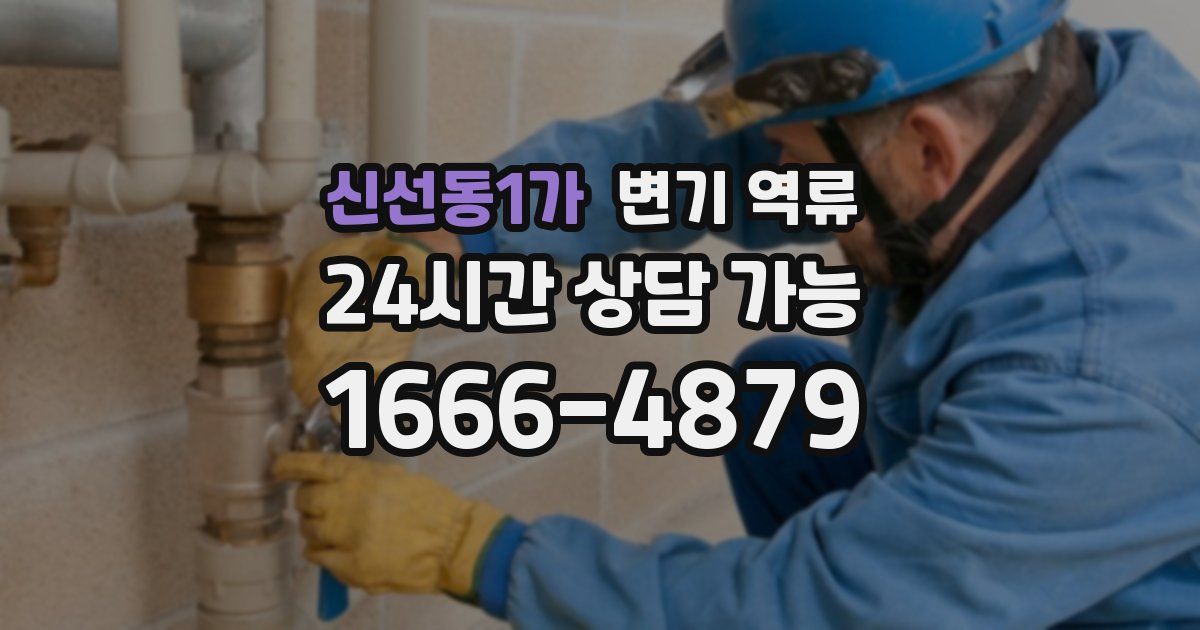 신선동1가 변기 역류
