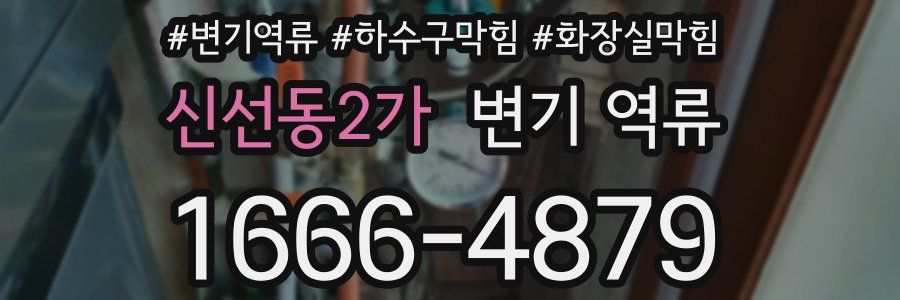 신선동2가 변기 역류