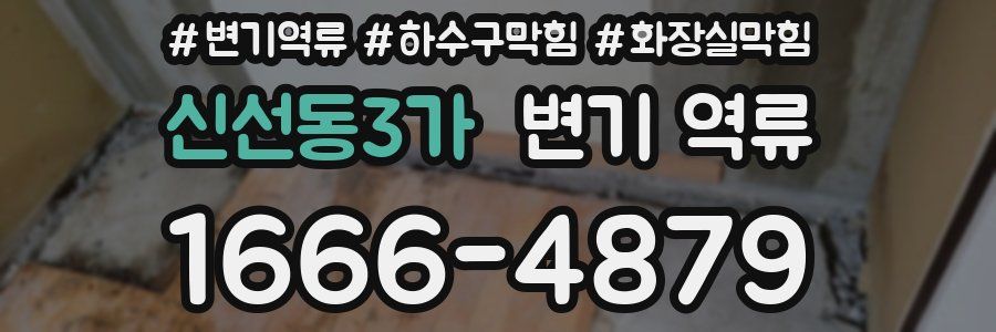 신선동3가 변기 역류