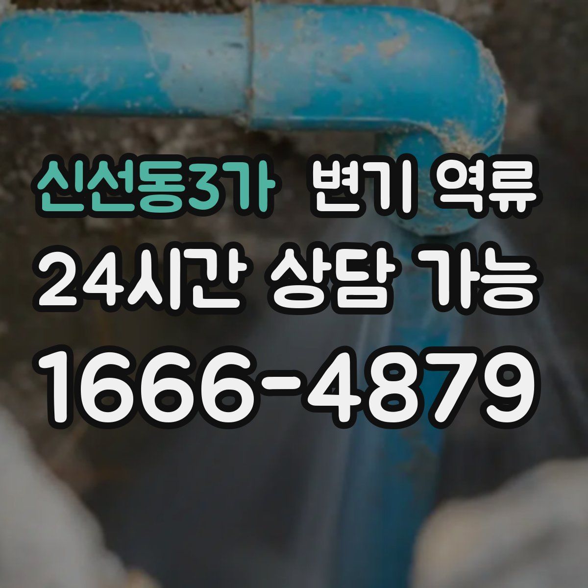 신선동3가 변기 역류