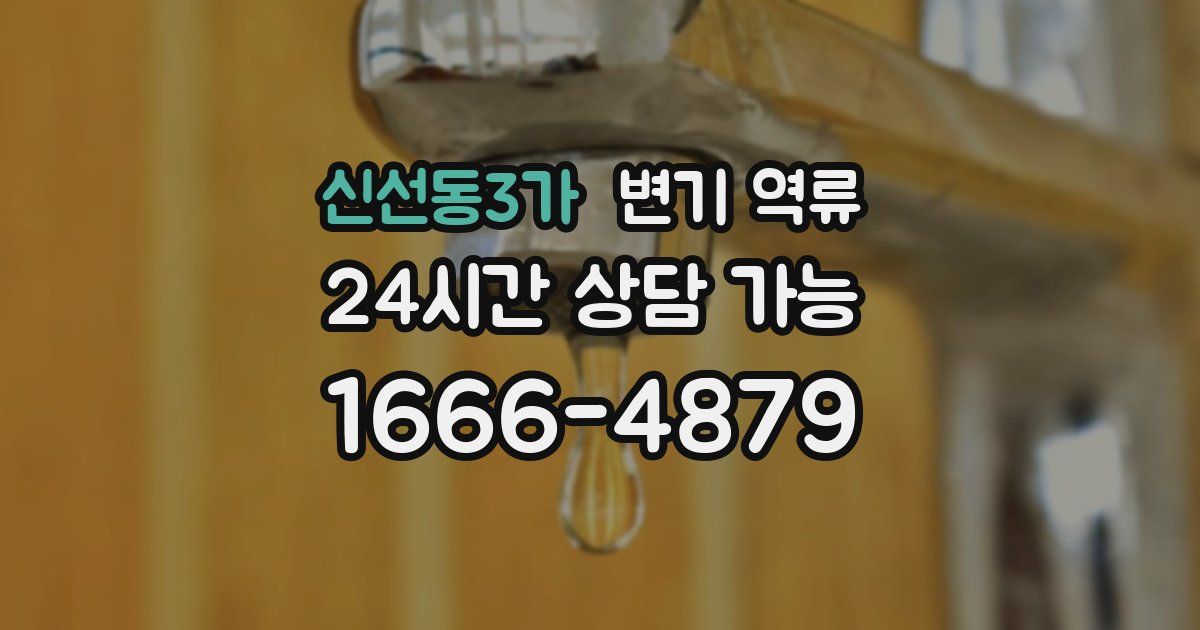 신선동3가 변기 역류