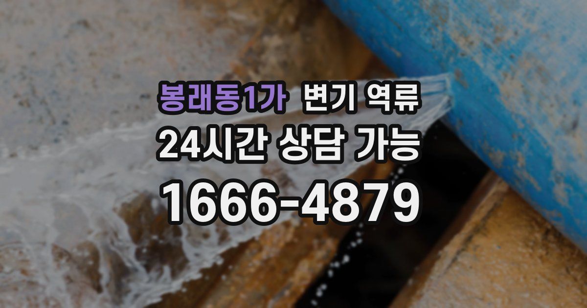봉래동1가 변기 역류