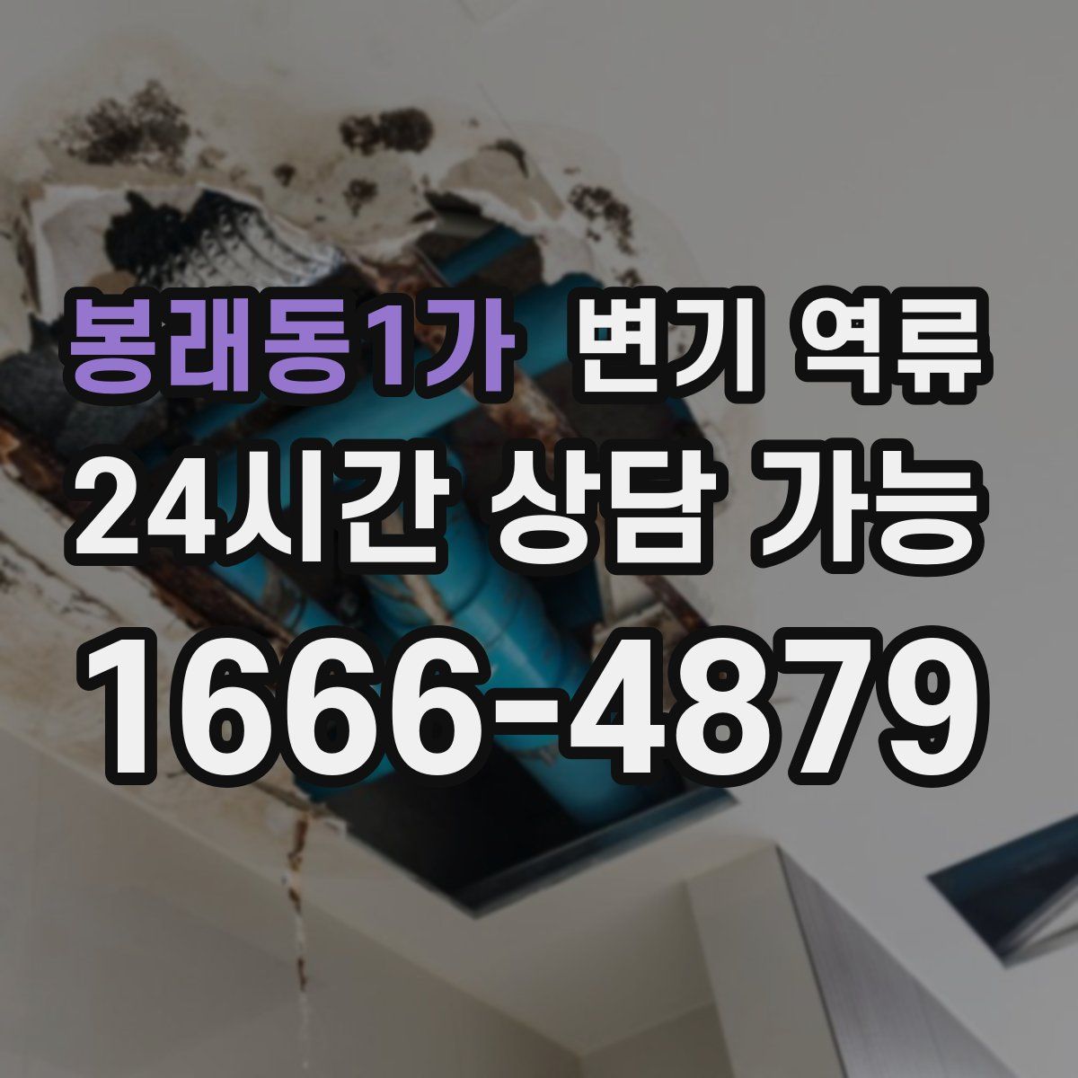 봉래동1가 변기 역류