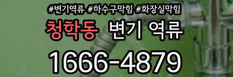 청학동 변기 역류