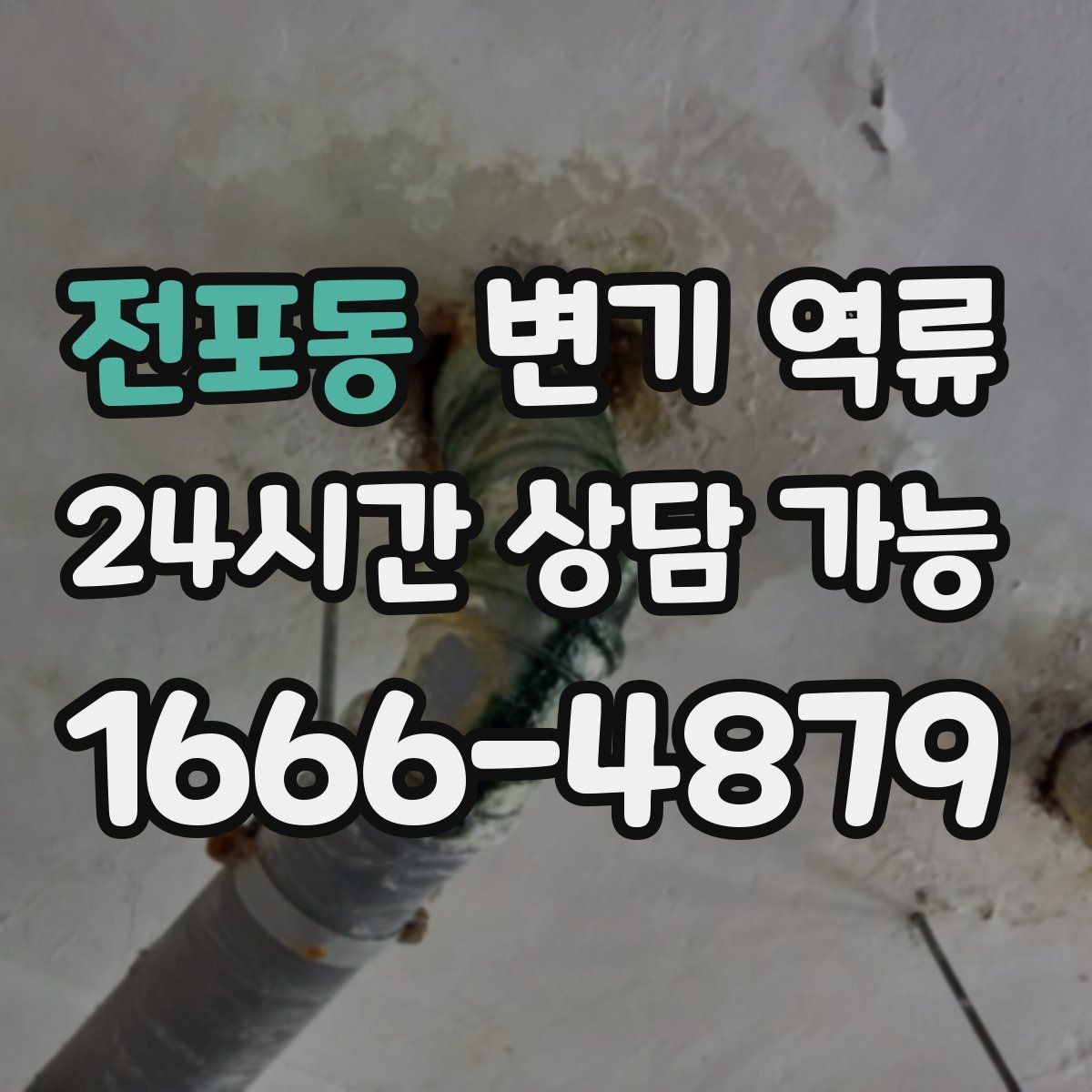 전포동 변기 역류 소독은 언제 어떻게 하는 게 좋을까