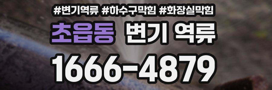 초읍동 변기 역류