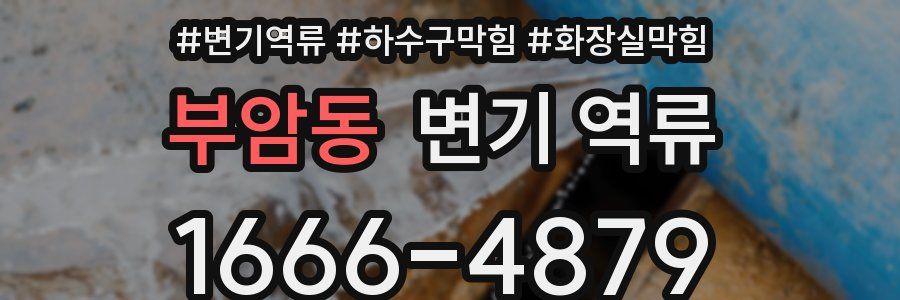 부암동 변기 역류